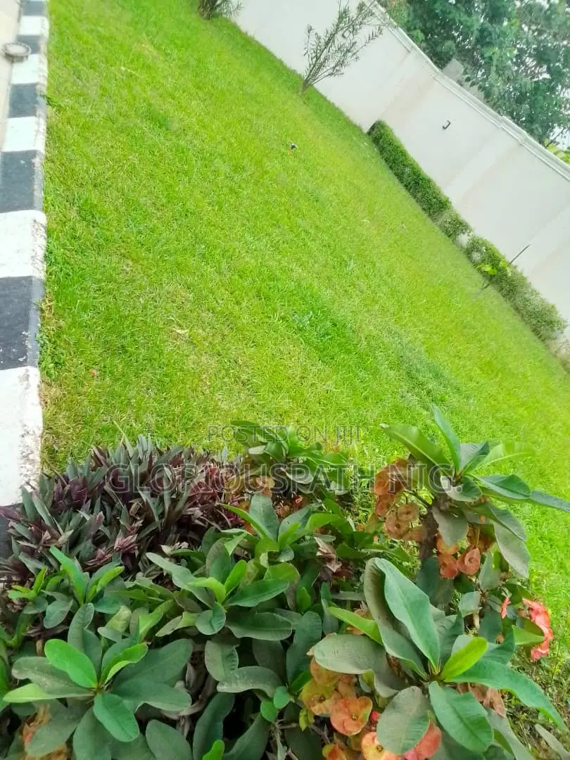 Grass and Flowers