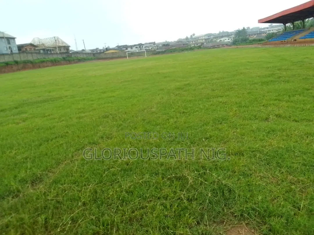 Grass and Flowers