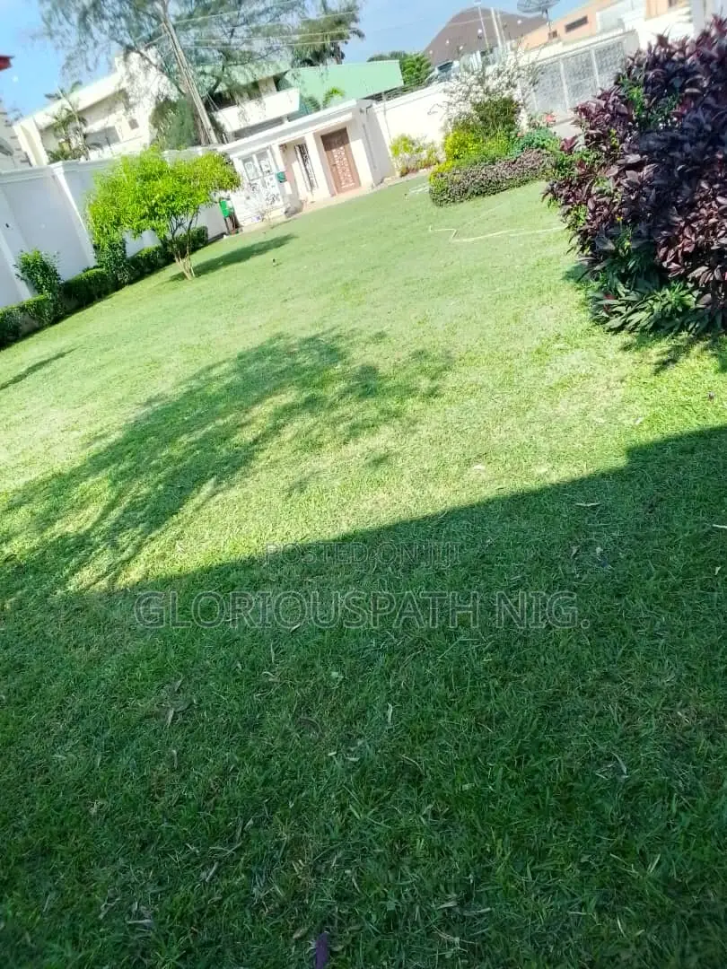 Grass and Flowers
