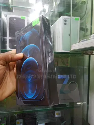 New Apple iPhone 12 Pro Max 256 GB Silver