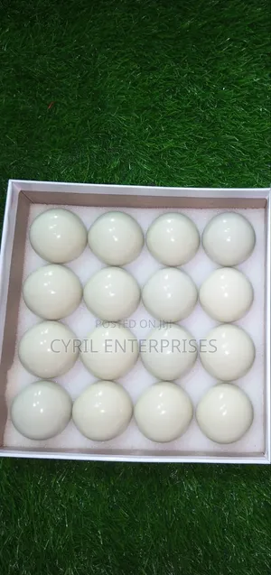 White Snooker Balls