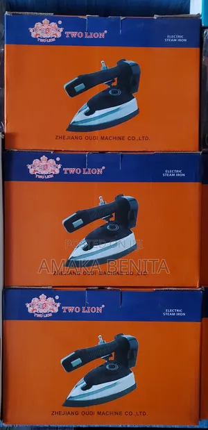 Photo - Two Lion Steam Iron