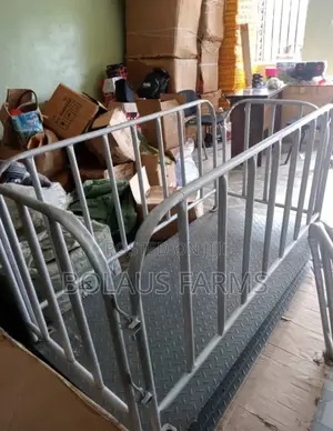 3 Tonnes Digital Platform Scale