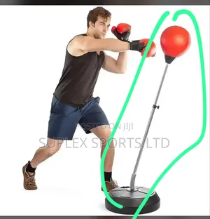 Boxing  Training Set With Gloves