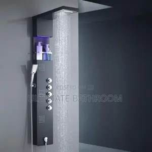 Executive Black Power Shower