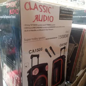 Classic Audio Pa System With Bluetooth, Fm and 2 Mics