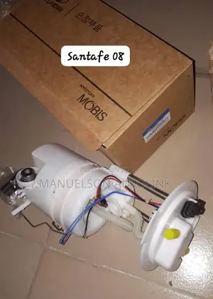 Complete Fuel Pump for Santafe 2008-2013