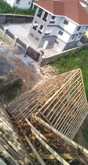 Capentry And House Roofing
