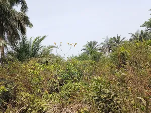 1000 Acres of Land for Outright Sales