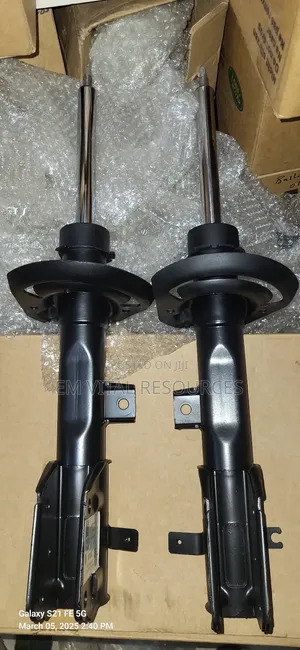 2019 Chrysler Pacifica Front Shocks