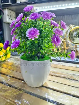 Nice Flowers for Shelf