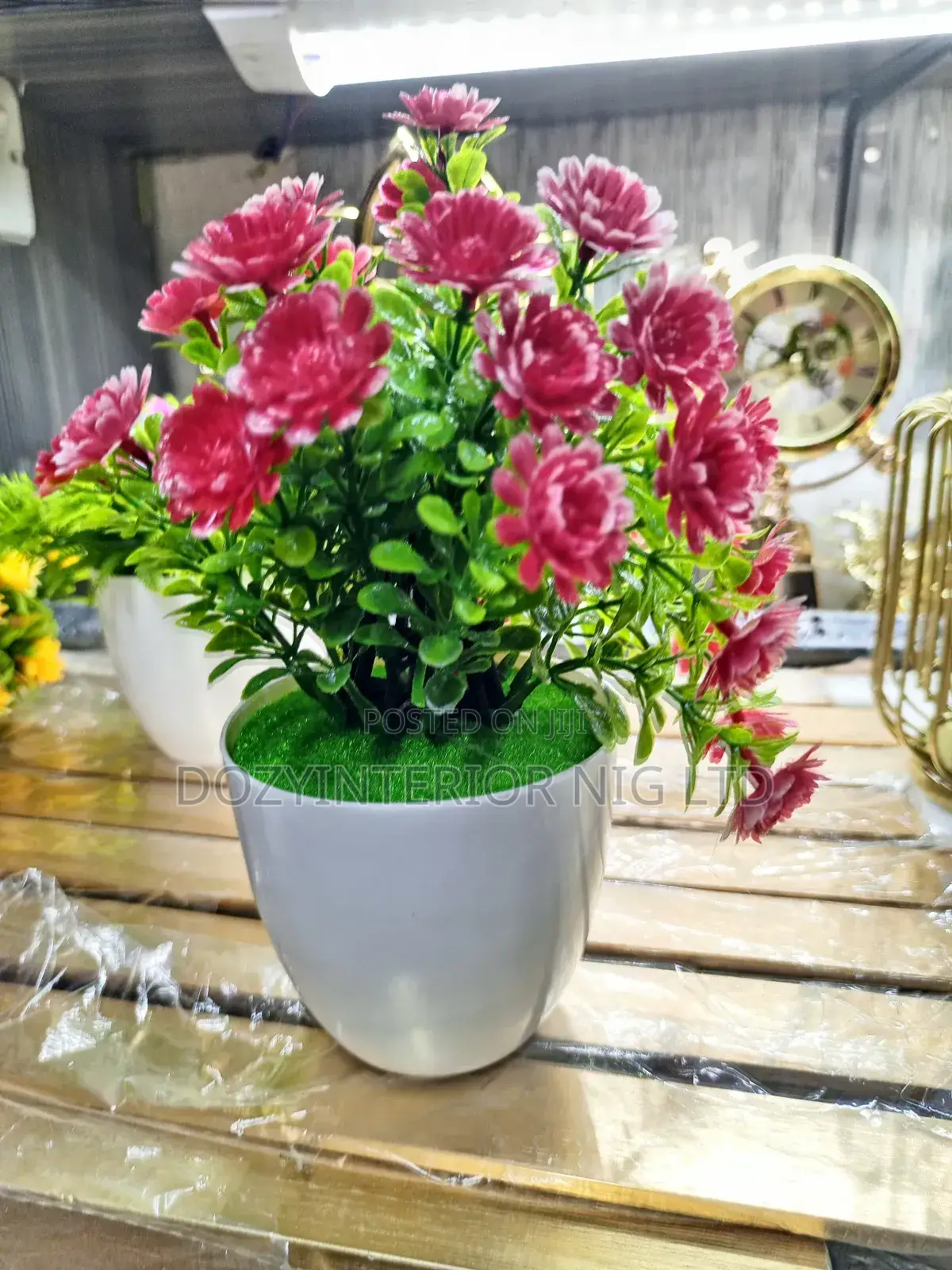 Nice Flowers for Shelf