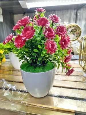 Nice Flowers for Shelf