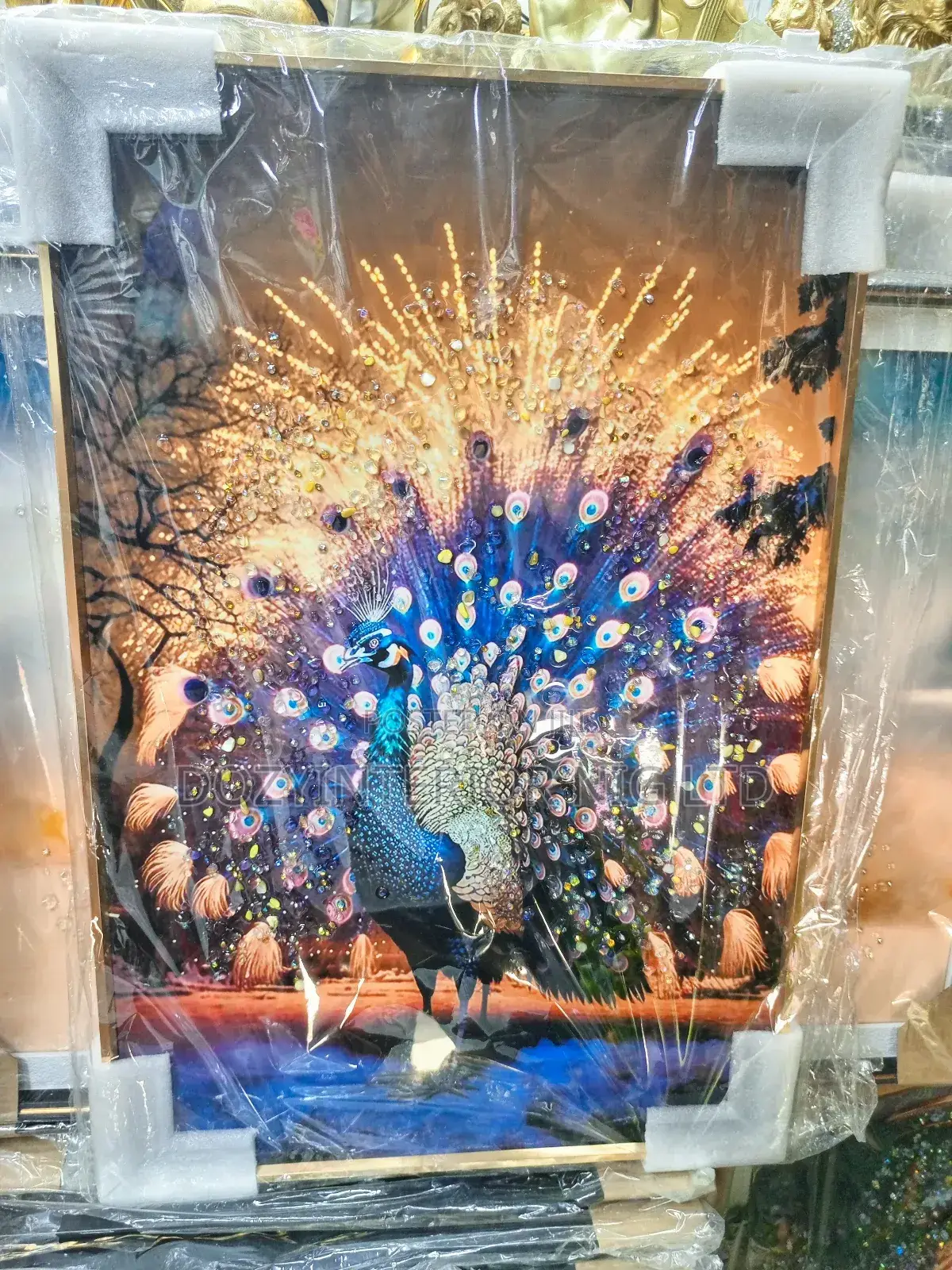 Acrylic Frames