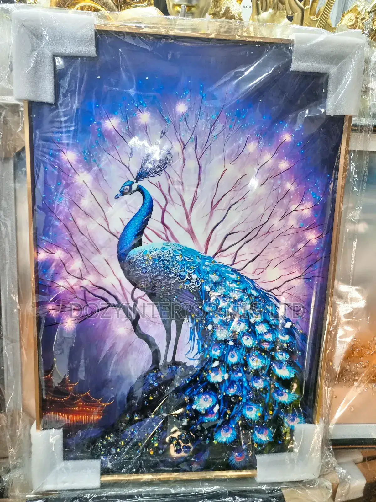 Acrylic Frames