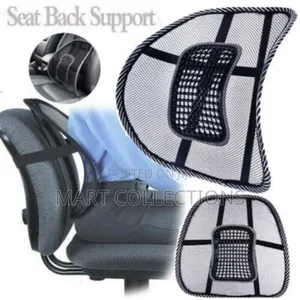 Chair/Car Seat Lumbar Back Support Mesh