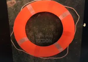 4.3kg Life Bouy Ring