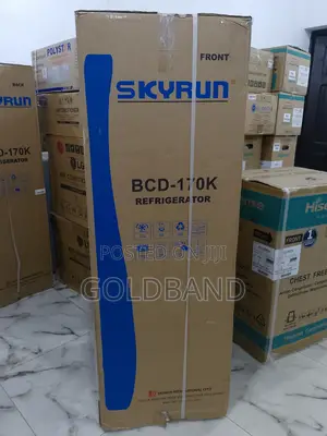Skyrun 170l Low Energy Consumption Double Door Refrigerator