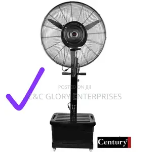 Century Mist Fan -21/03/2025