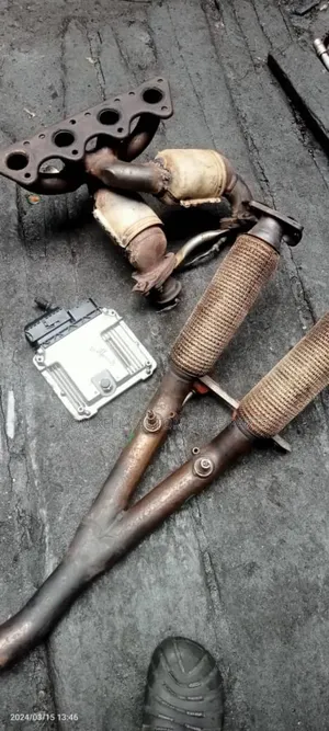Catalyst Passat