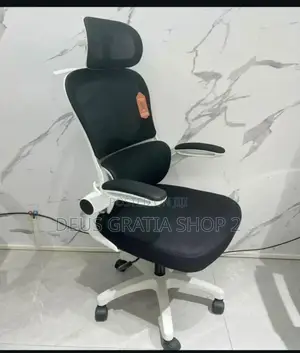 Ergonomic Office Chair With Headrest