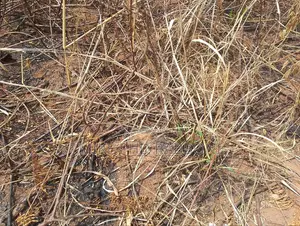 10 Plots of Land Near Caritas University Enugu at 8m Per Plot