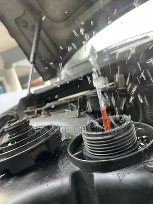 Pre Purchase Car Inspection and Online Consultation