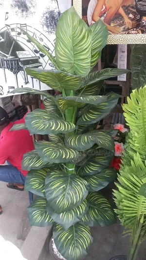 Flower for Events Decorations/ Bars/ Hotels/ Homes/ Churches