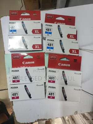 Original Canon Ink 481