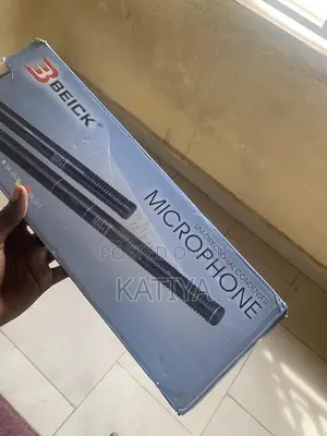 Photo - Condenser Microphone