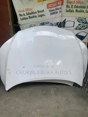 Bonnet Rx350 2020