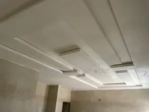 Vindorite Polystyrene Beautiful Ceiling