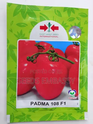 Padma 108 F1 Tomato Seeds