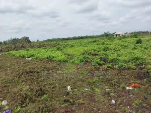 Plots of Land Ikola New Road by Ogun Bridge