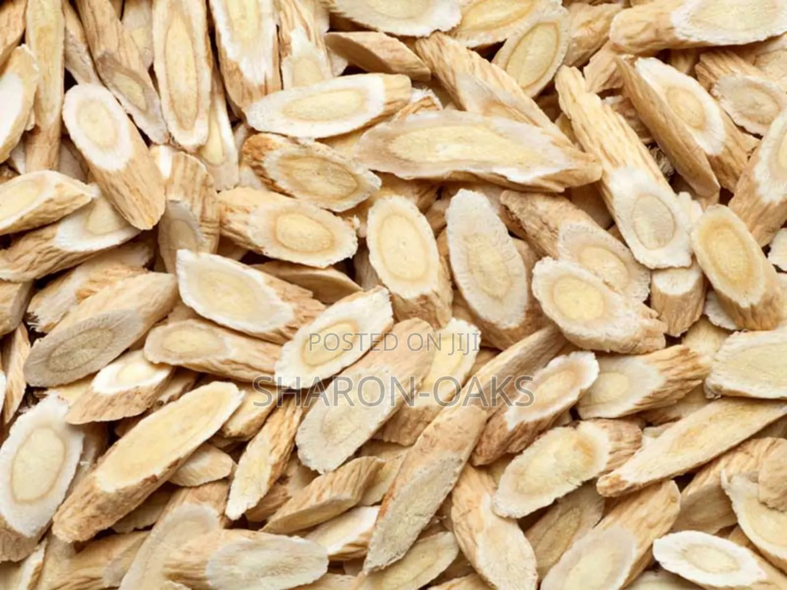 Astragalus Root 500g