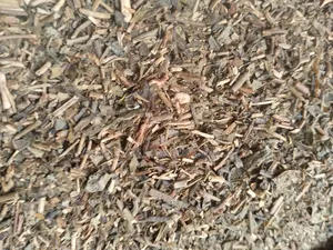 Green Tea Pack 1kg