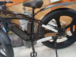 Big Tyre Electric Bike