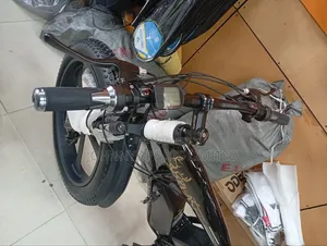Big Tyre Electric Bike