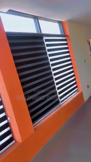 Blackout Day Night Window Blinds