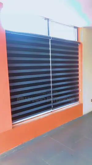 Blackout Day Night Window Blinds