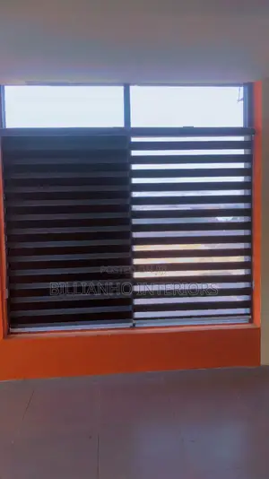 Blackout Day Night Window Blinds