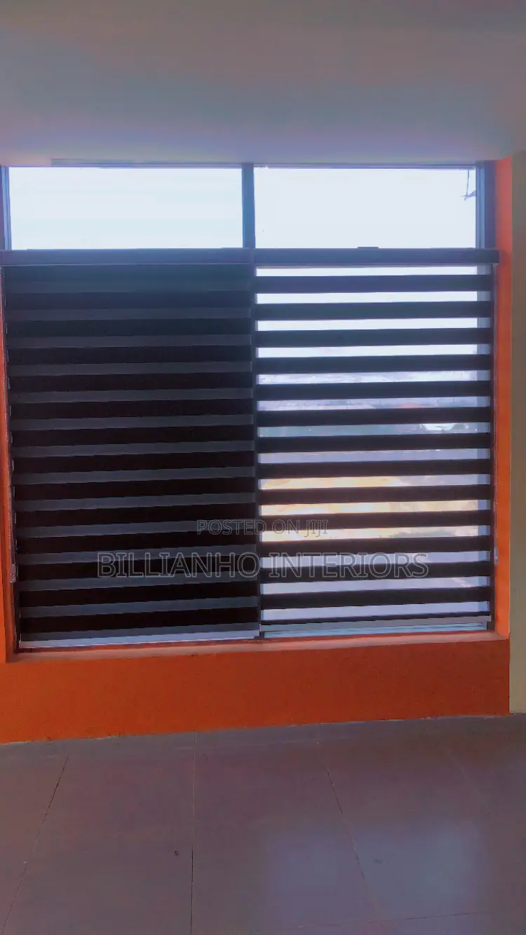 Blackout Day Night Window Blinds