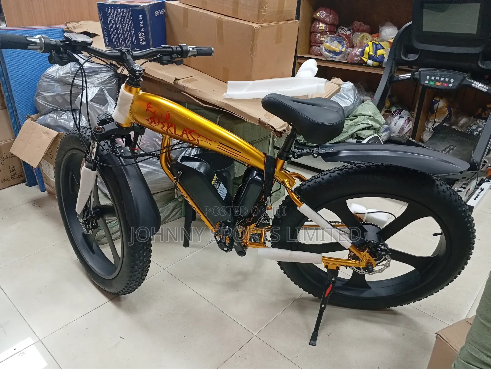 Big Tyre Electric Bike