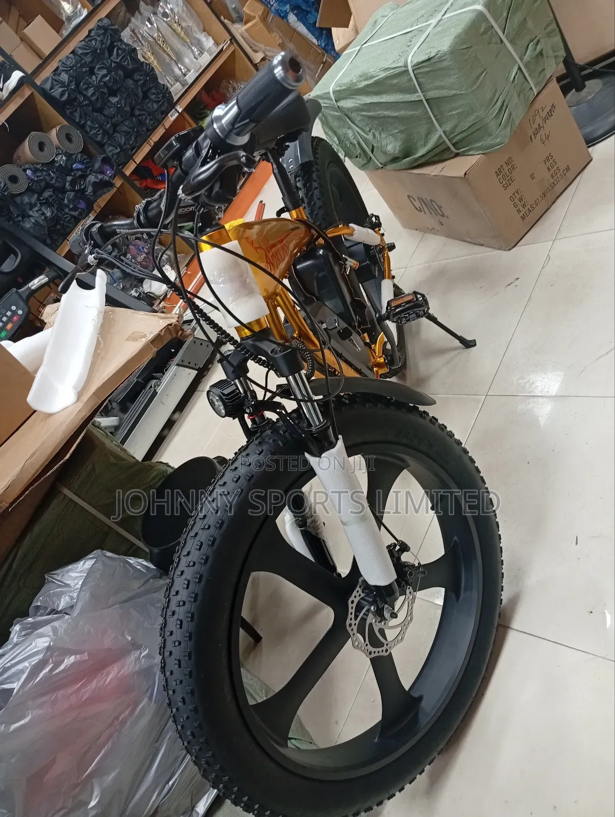 Big Tyre Electric Bike