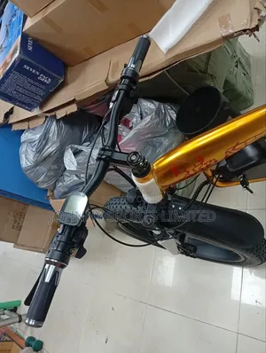 Big Tyre Electric Bike