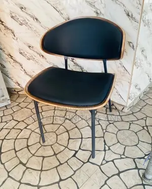 Dinning Chair With Wooden Back