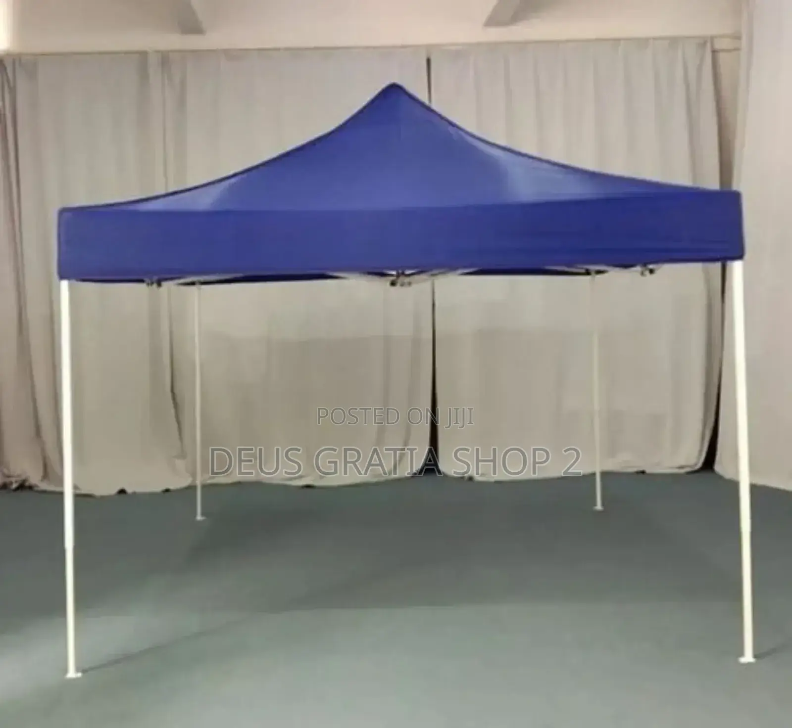 10 by 10 Foldable Canopy