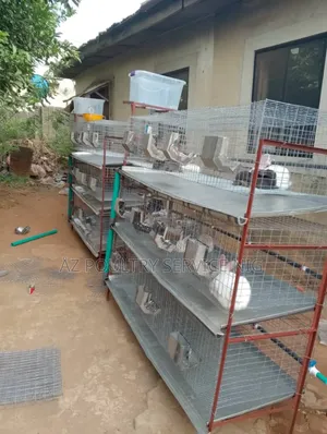 Åz Poultry Service Nigeria Limited