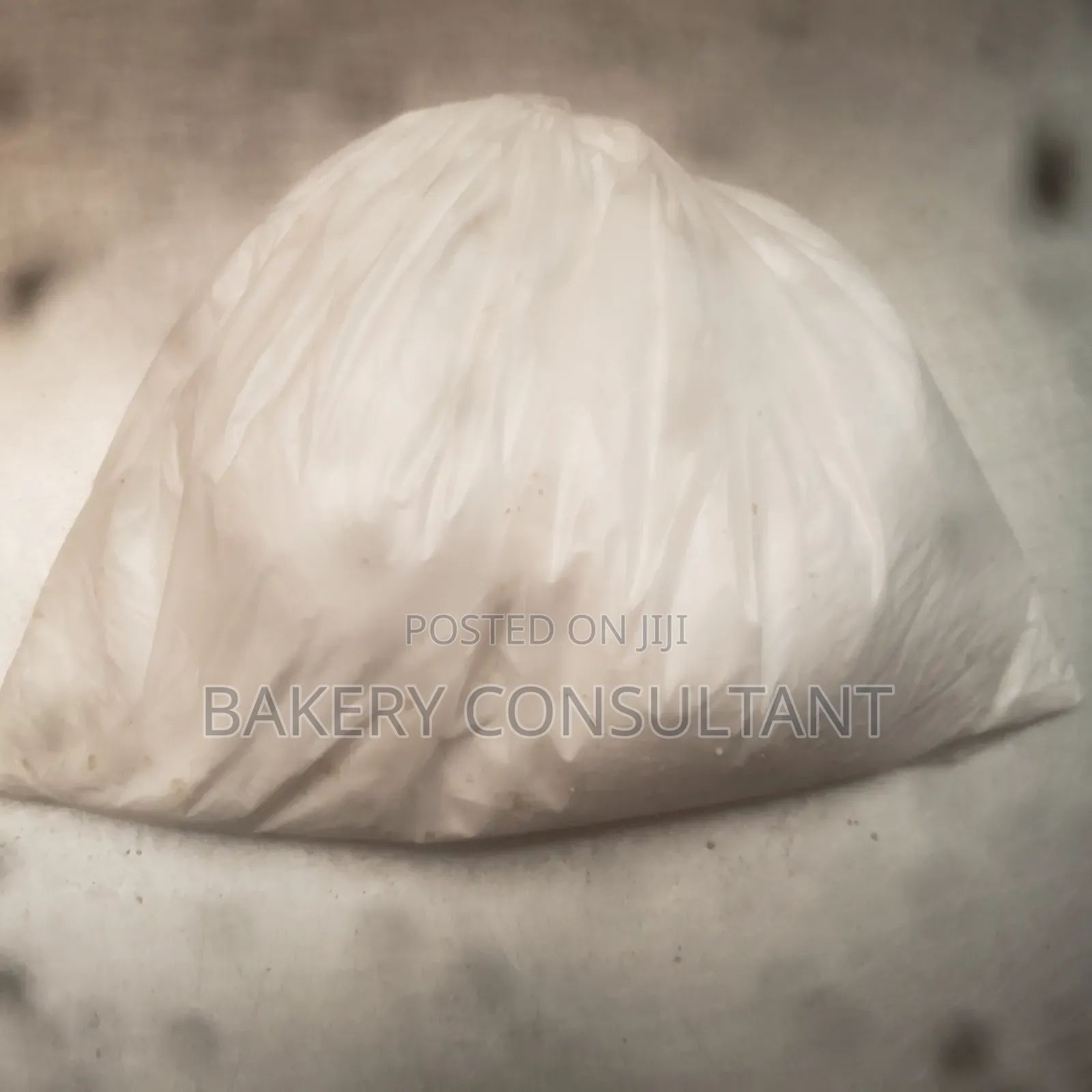 Bakery Consultant