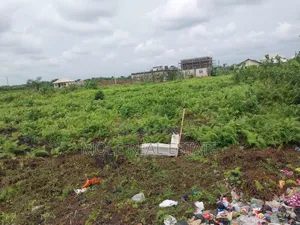 Half Plot 30ft/120ft Ijegun -Ijegemo New Expressway